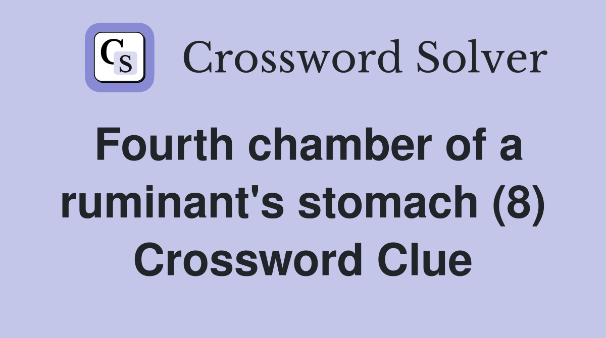 Fourth chamber of a ruminant's stomach (8) Crossword Clue