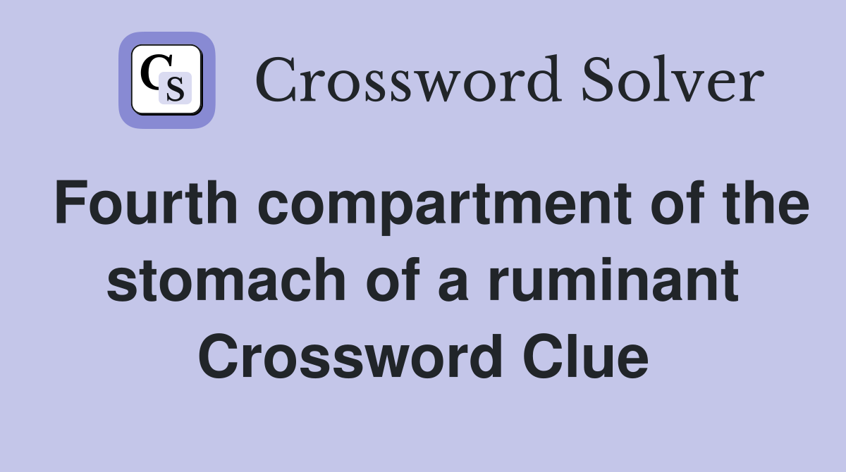 Fourth compartment of the stomach of a ruminant Crossword Clue