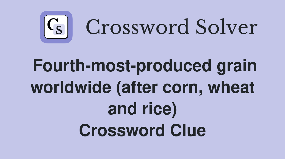 Fourth-most-produced grain worldwide (after corn, wheat and rice) Crossword Clue