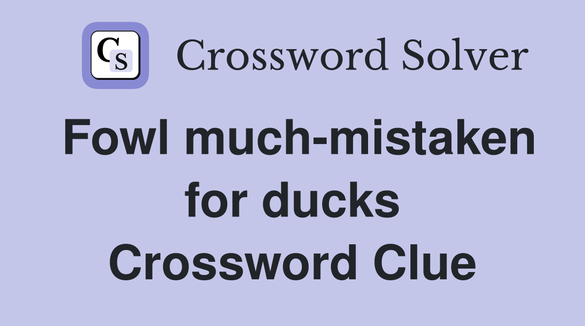 Fowl much-mistaken for ducks Crossword Clue