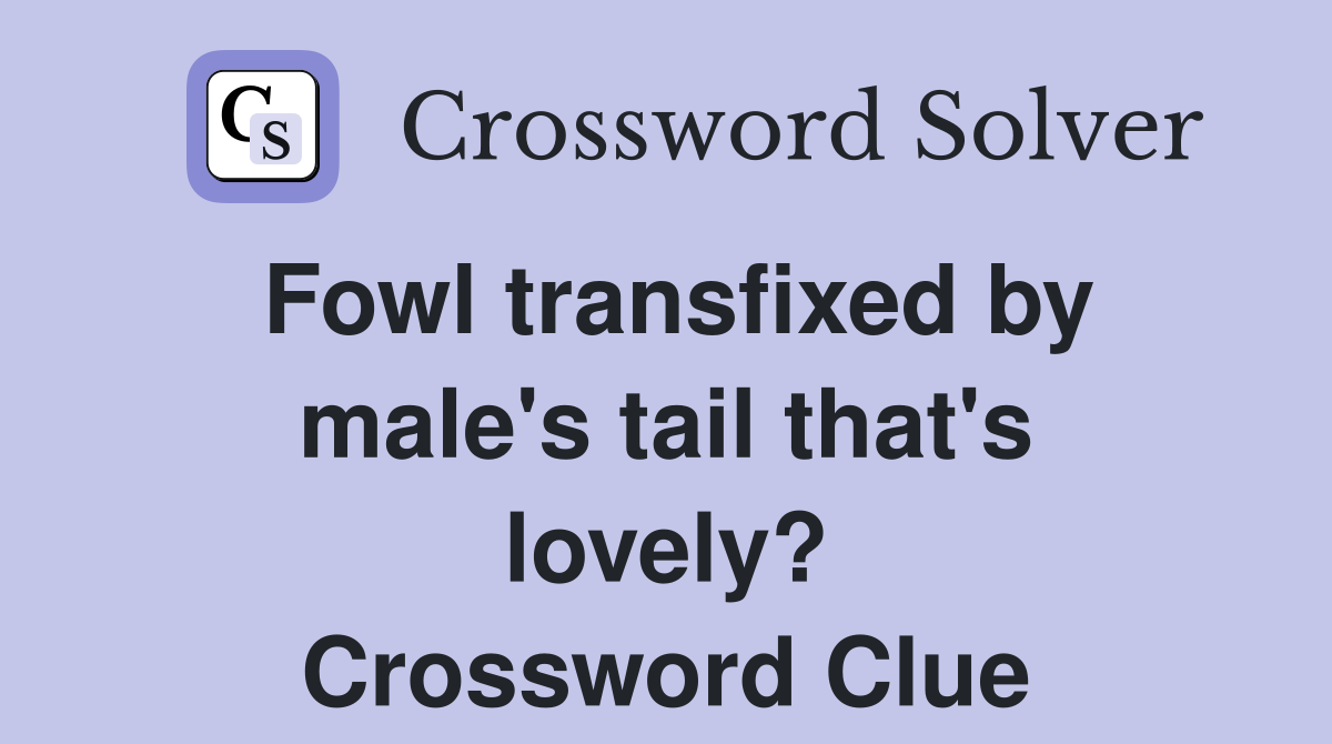 Fowl transfixed by male's tail that's lovely? Crossword Clue