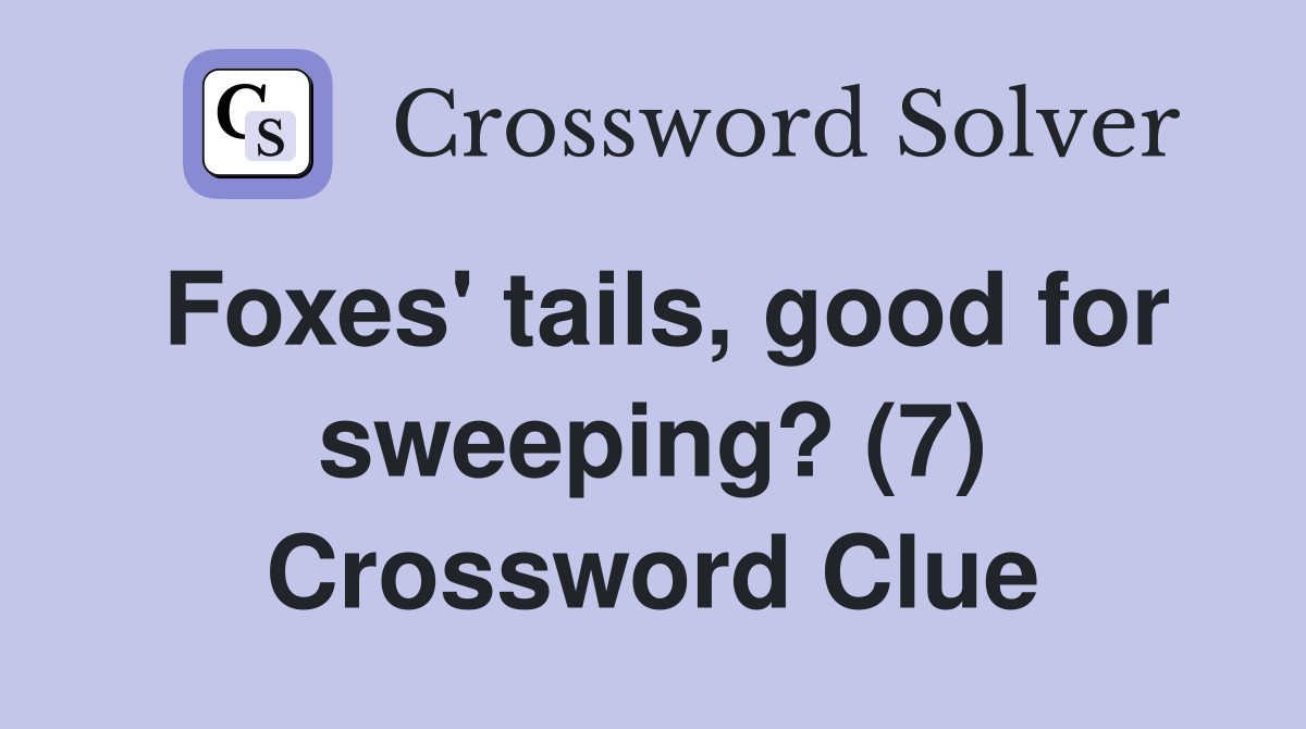 Foxes' tails, good for sweeping? (7) Crossword Clue