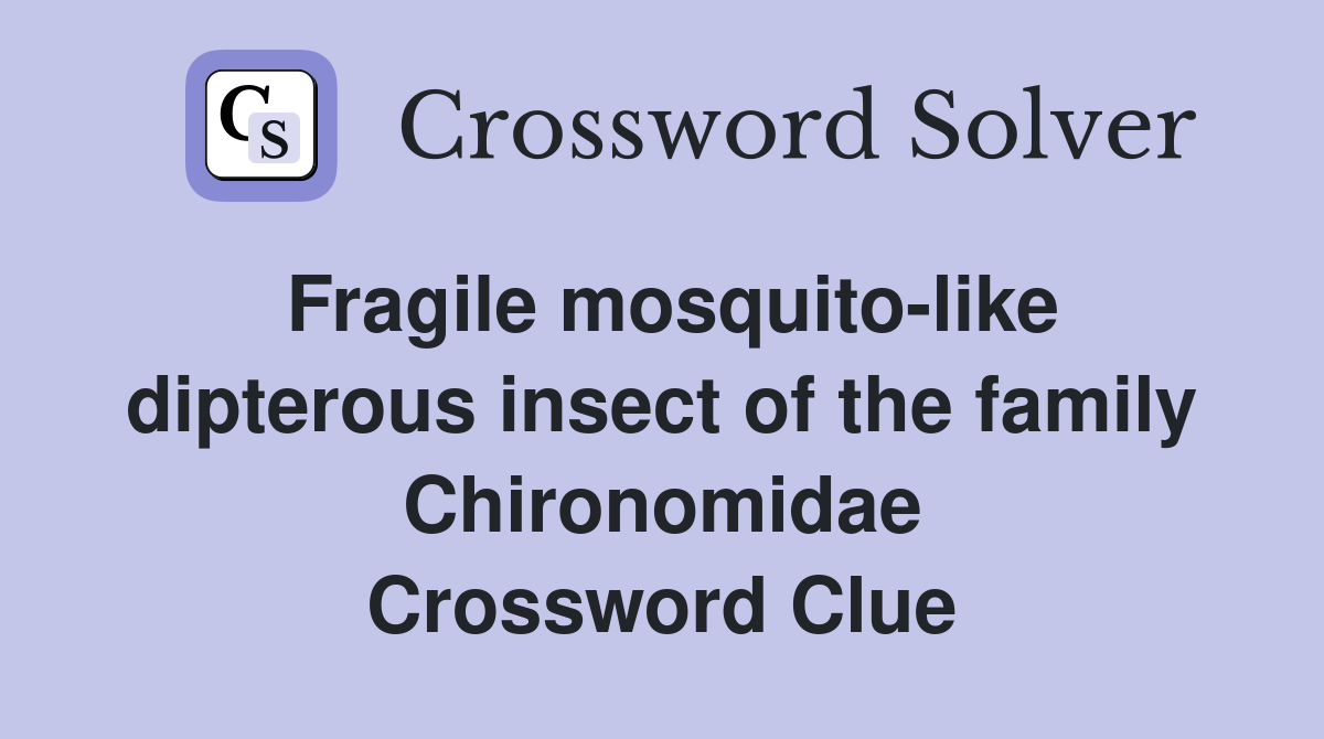 Fragile mosquito-like dipterous insect of the family Chironomidae Crossword Clue