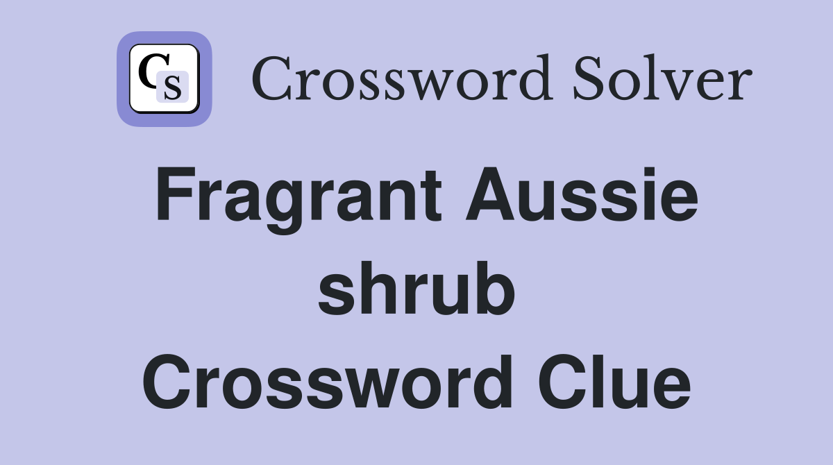 Fragrant Aussie shrub Crossword Clue