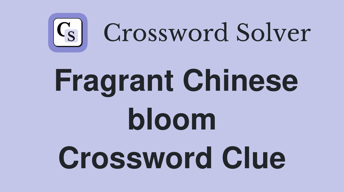 Fragrant Chinese bloom Crossword Clue