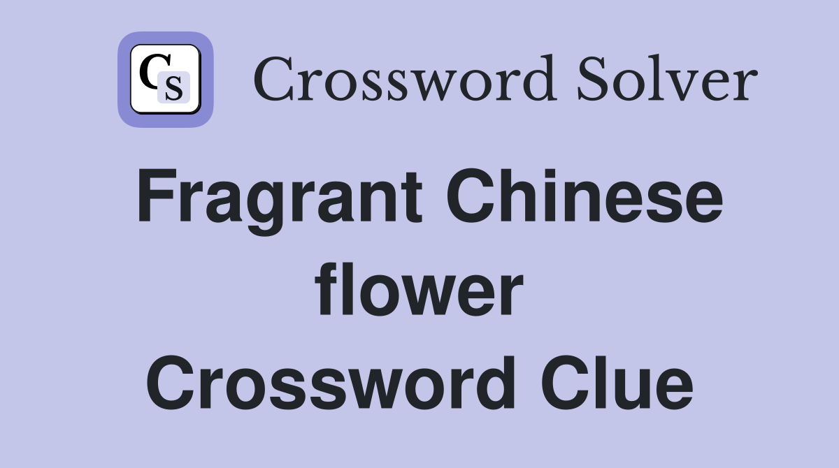 Fragrant Chinese flower Crossword Clue