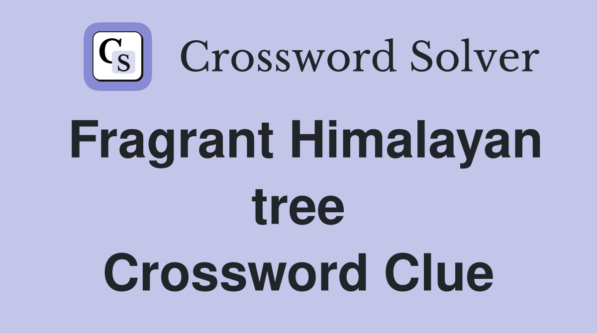 Fragrant Himalayan tree Crossword Clue