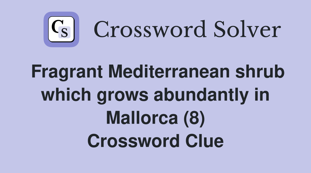 Fragrant Mediterranean shrub which grows abundantly in Mallorca (8) Crossword Clue
