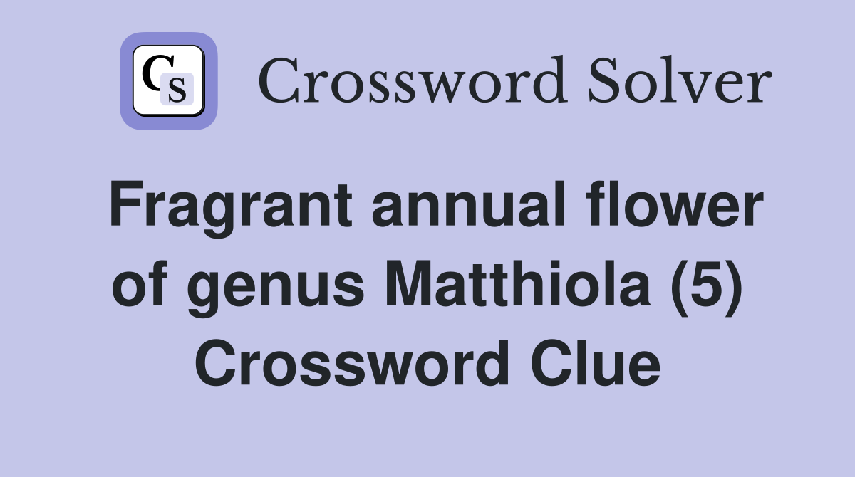 Fragrant annual flower of genus Matthiola (5) Crossword Clue