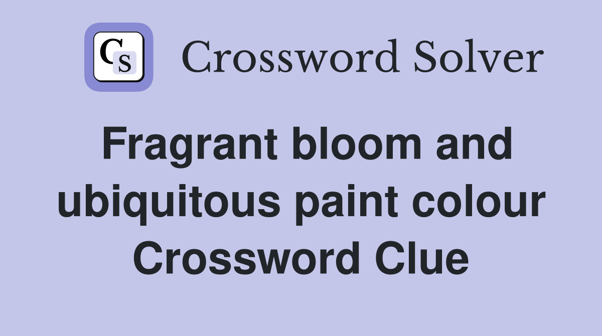 Fragrant bloom and ubiquitous paint colour Crossword Clue