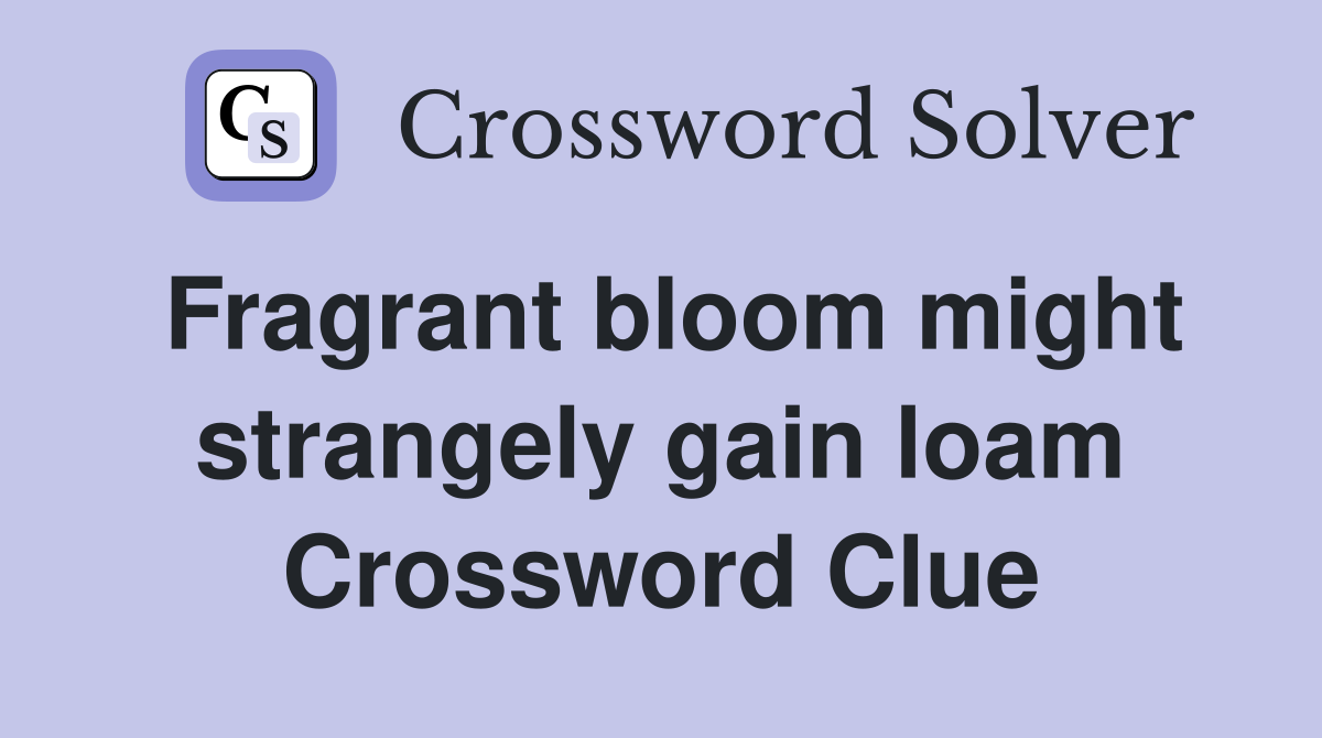 Fragrant bloom might strangely gain loam Crossword Clue