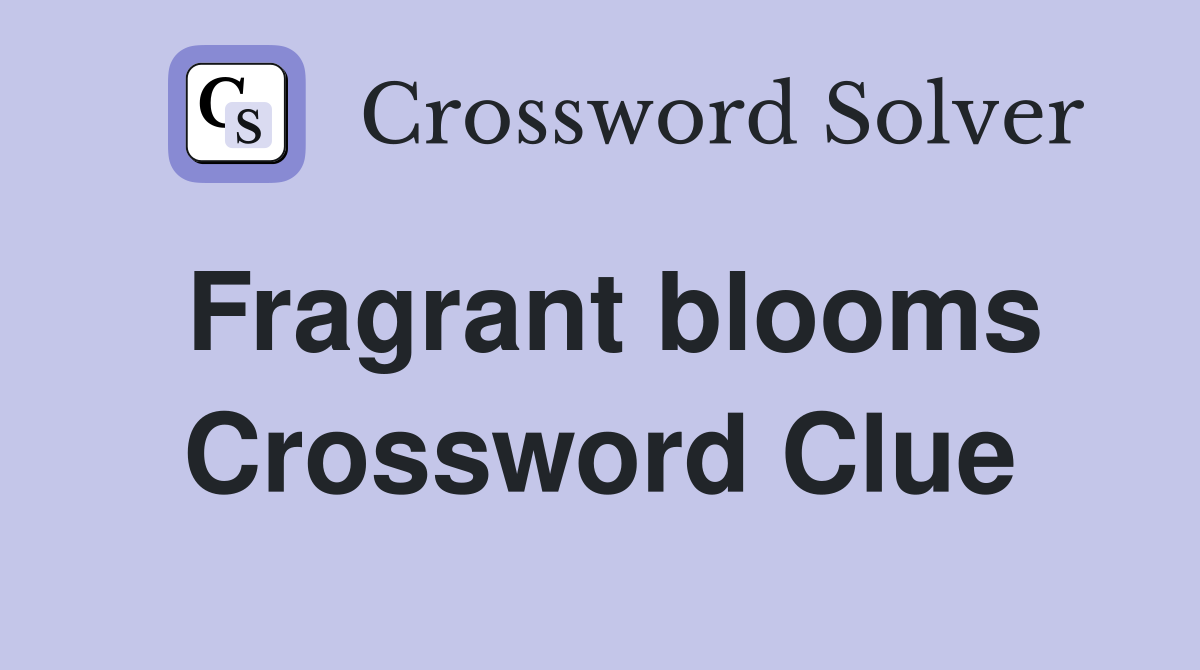 Fragrant blooms Crossword Clue