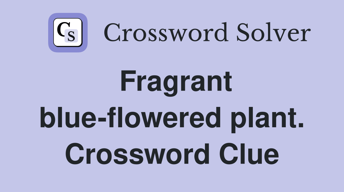 Fragrant blue-flowered plant. Crossword Clue