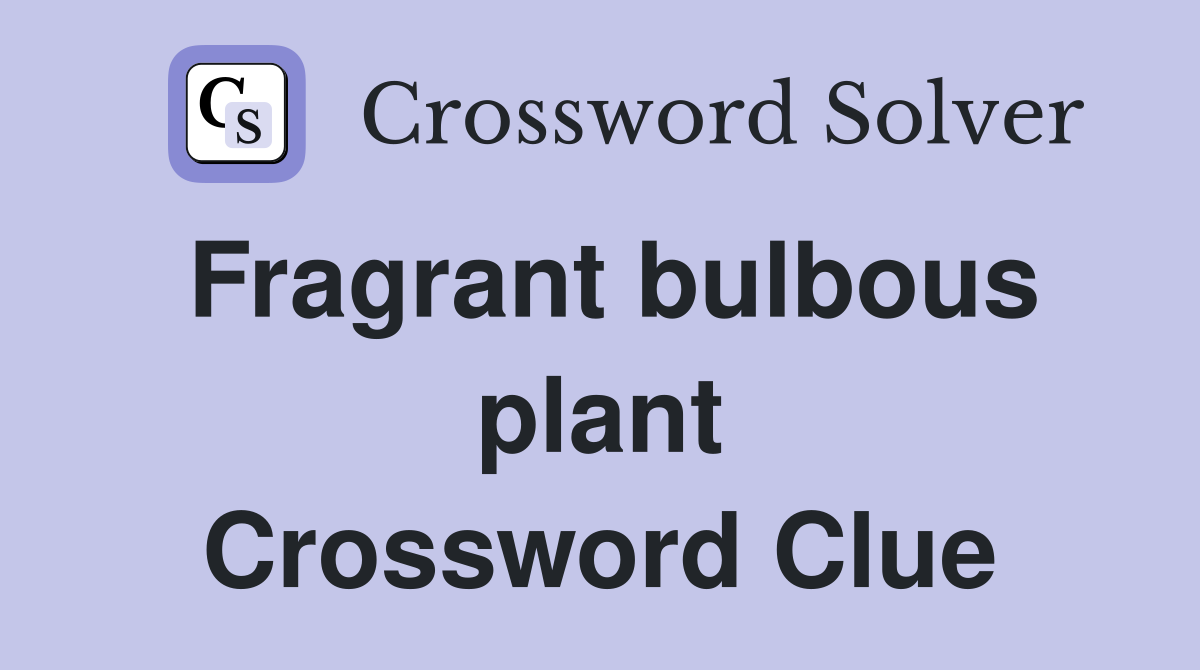Fragrant bulbous plant Crossword Clue