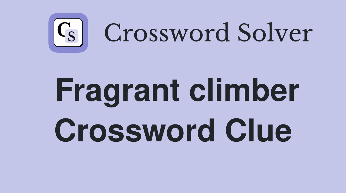 Fragrant climber Crossword Clue
