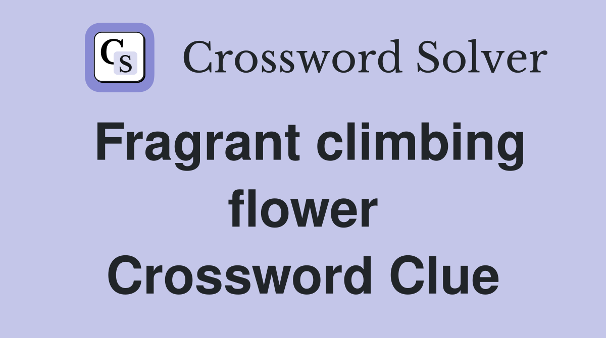 Fragrant climbing flower Crossword Clue