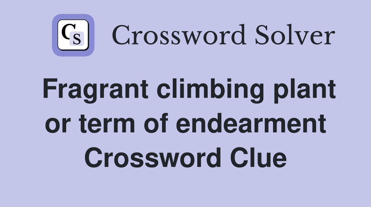 Fragrant climbing plant or term of endearment Crossword Clue