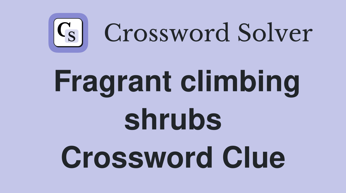 Fragrant climbing shrubs Crossword Clue