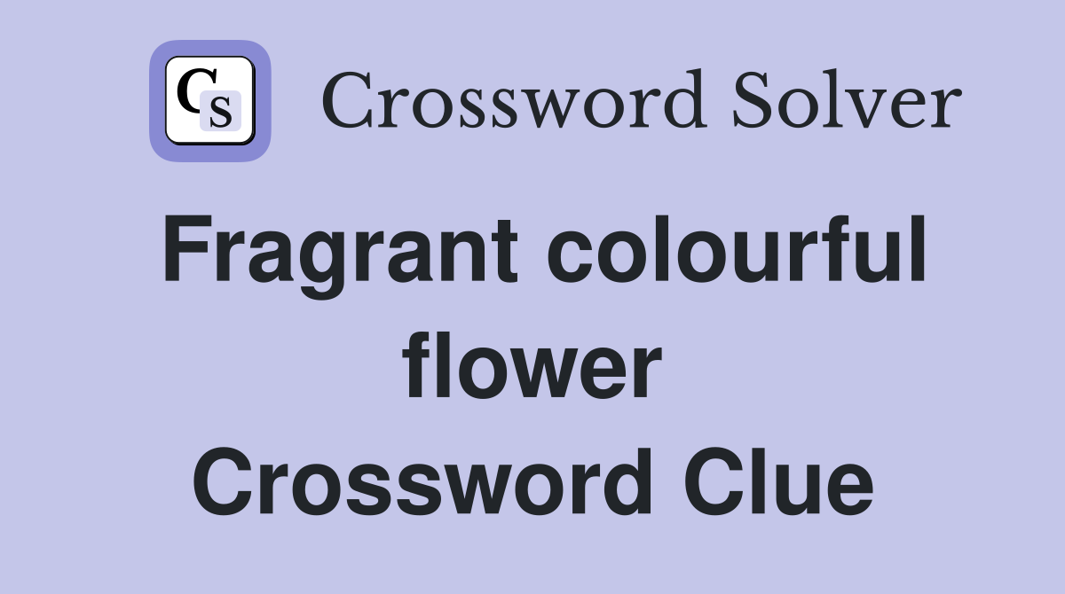 Fragrant colourful flower Crossword Clue