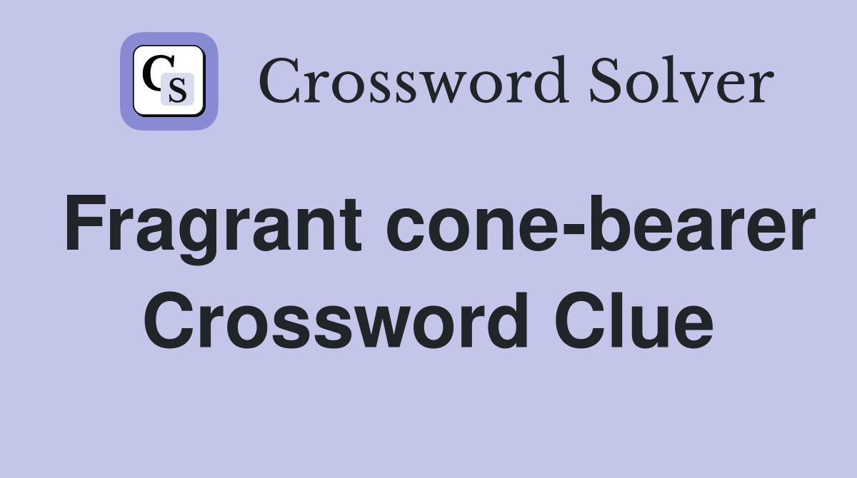 Fragrant cone-bearer Crossword Clue