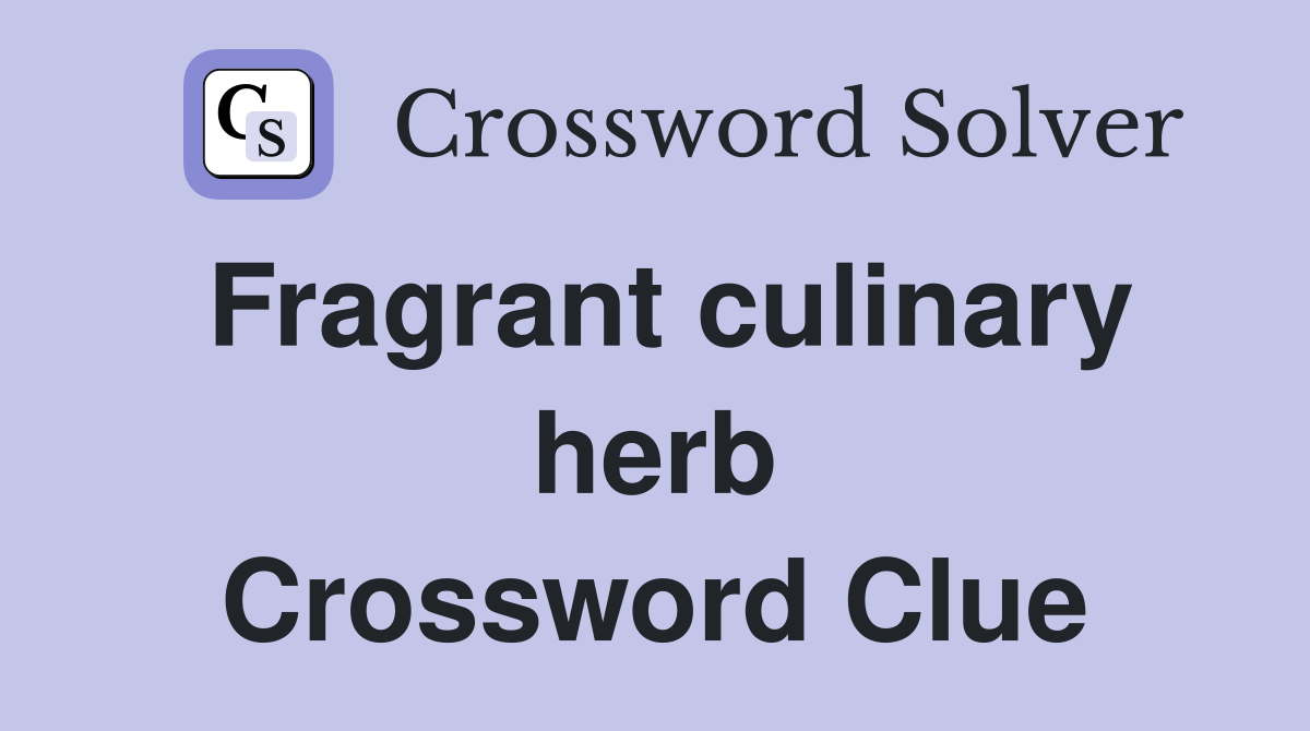 Fragrant culinary herb Crossword Clue