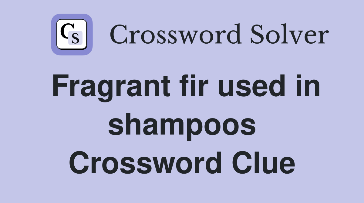 Fragrant fir used in shampoos Crossword Clue