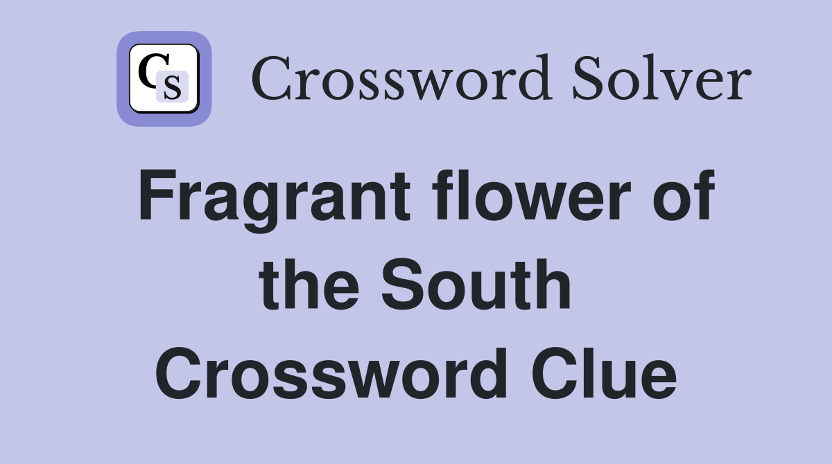 Fragrant flower of the South Crossword Clue