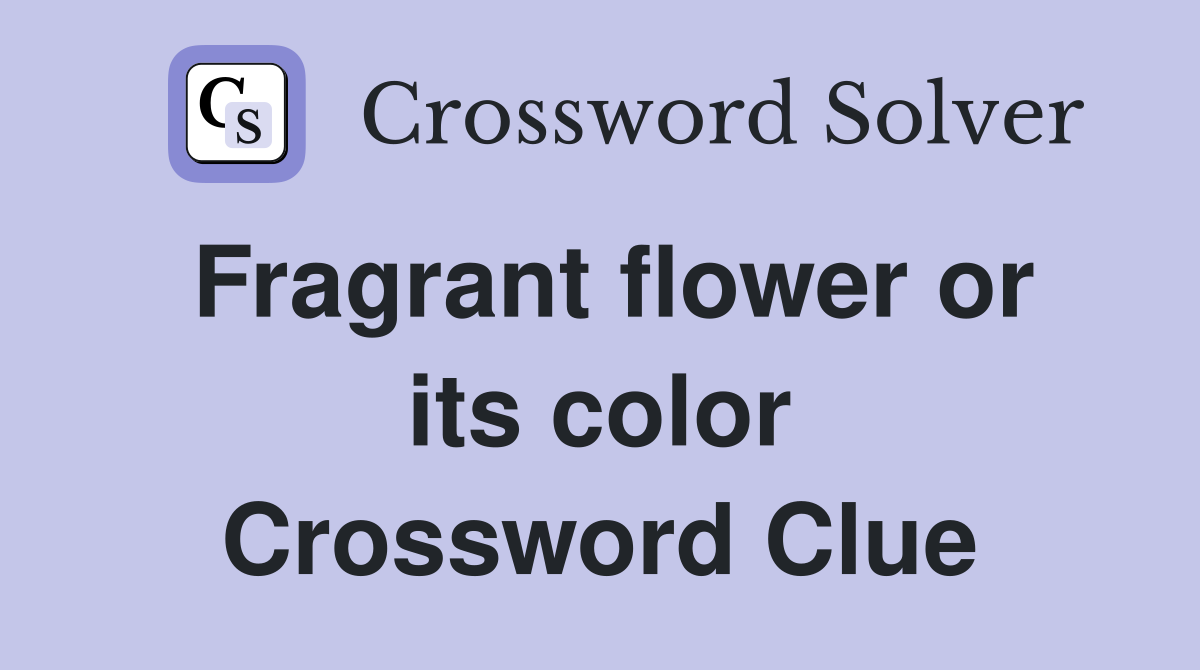 Fragrant flower or its color Crossword Clue
