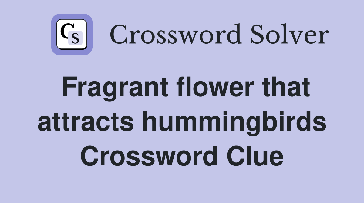 Fragrant flower that attracts hummingbirds Crossword Clue