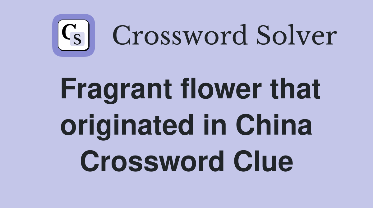 Fragrant flower that originated in China Crossword Clue