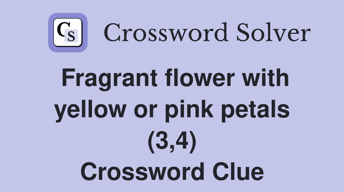Fragrant flower with yellow or pink petals (3,4) Crossword Clue