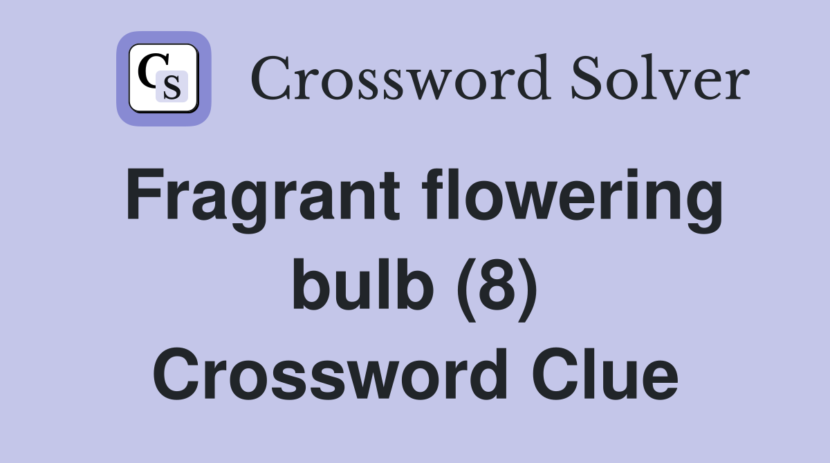 Fragrant flowering bulb (8) Crossword Clue