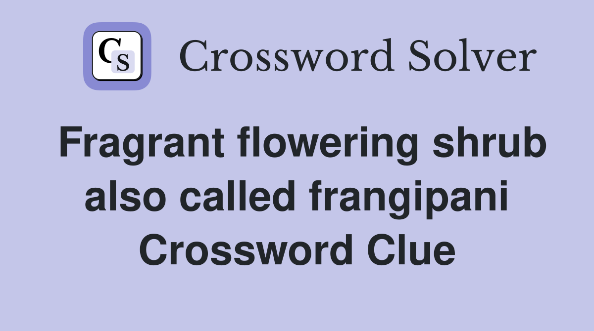 Fragrant flowering shrub also called frangipani Crossword Clue