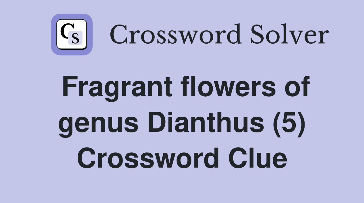 Fragrant flowers of genus Dianthus (5) Crossword Clue