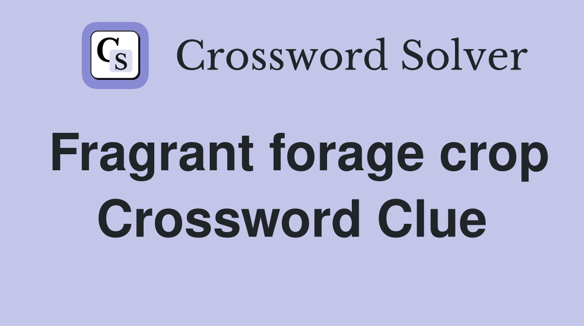 Fragrant forage crop Crossword Clue
