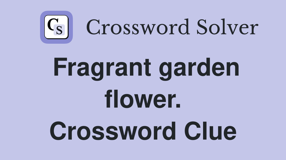 Fragrant garden flower. Crossword Clue