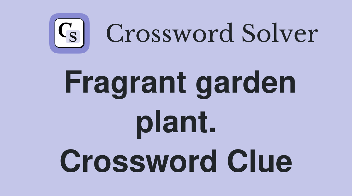 Fragrant garden plant. Crossword Clue