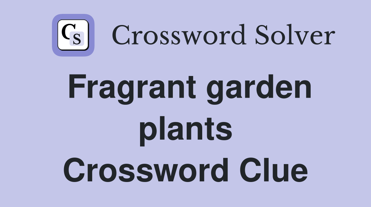 Fragrant garden plants Crossword Clue