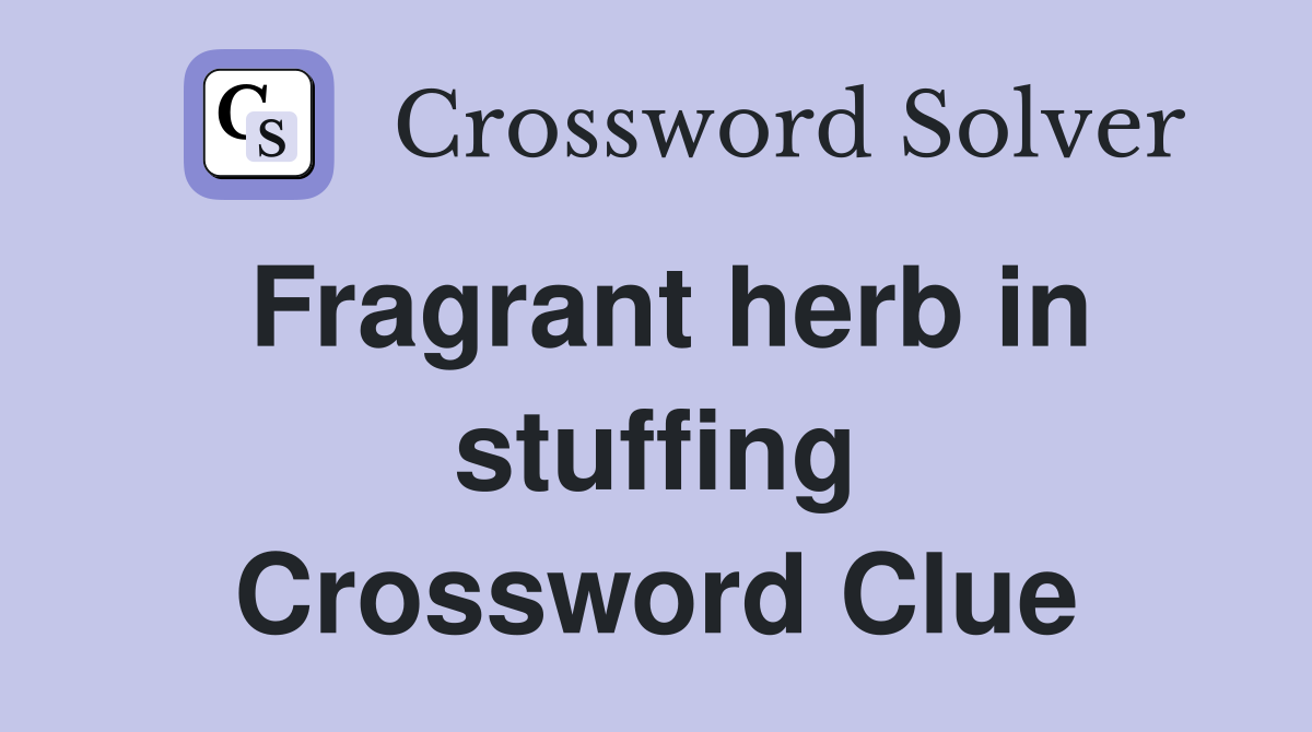 Fragrant herb in stuffing Crossword Clue