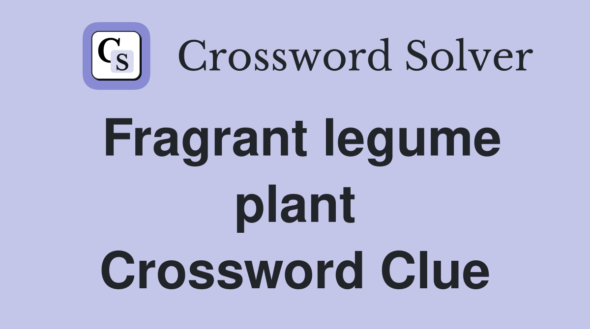 Fragrant legume plant Crossword Clue