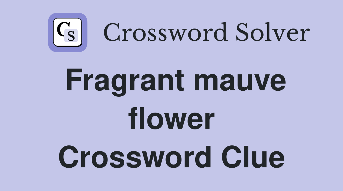 Fragrant mauve flower Crossword Clue