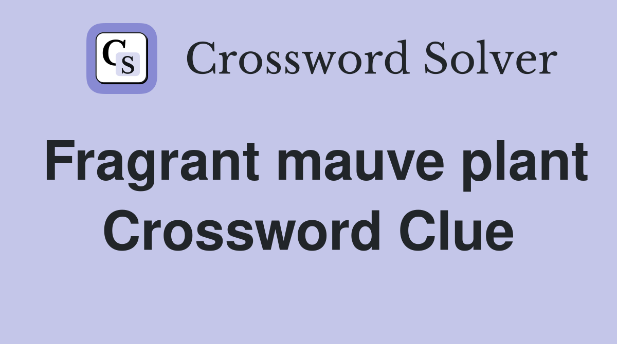 Fragrant mauve plant Crossword Clue