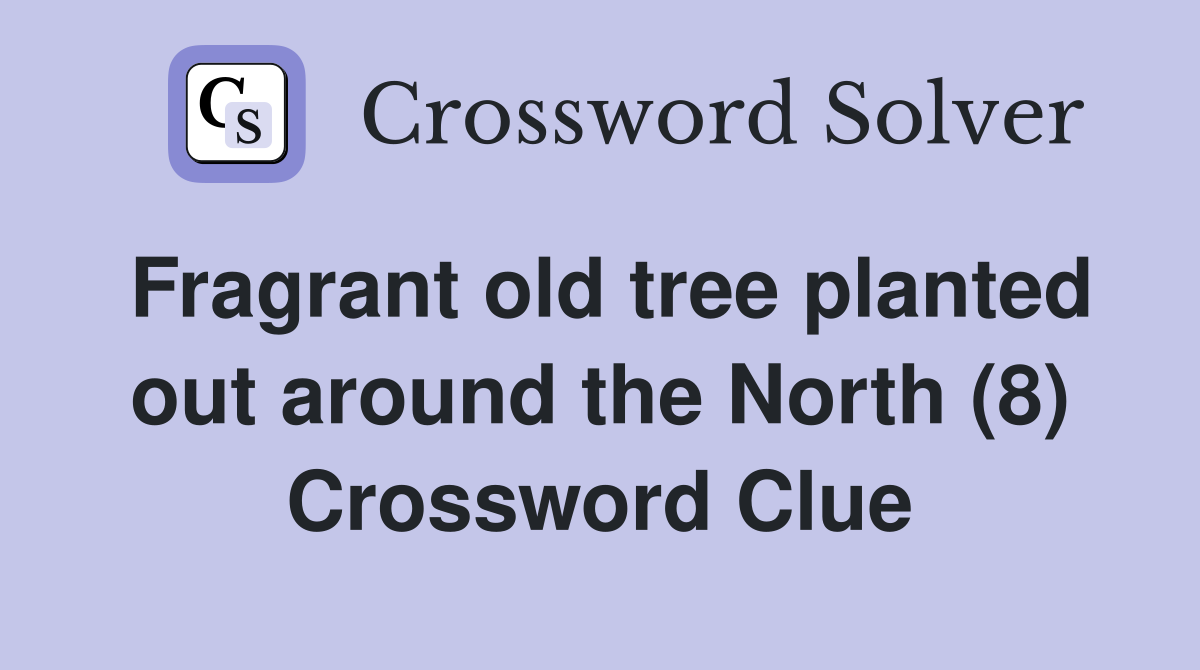 Fragrant old tree planted out around the North (8) Crossword Clue