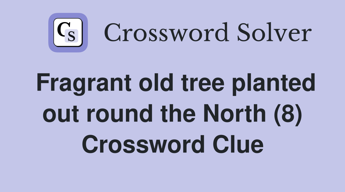Fragrant old tree planted out round the North (8) Crossword Clue