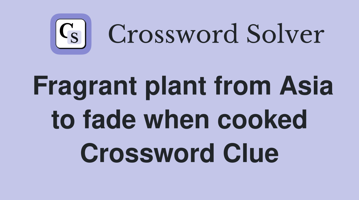 Fragrant plant from Asia to fade when cooked Crossword Clue