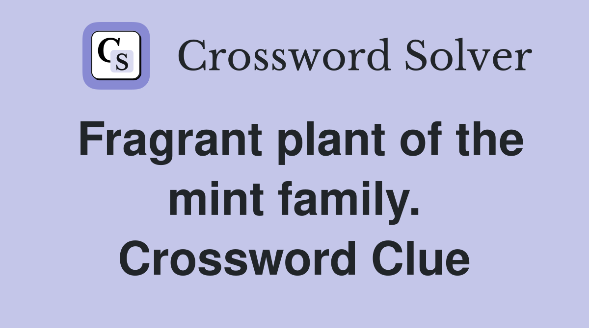 Fragrant plant of the mint family. Crossword Clue