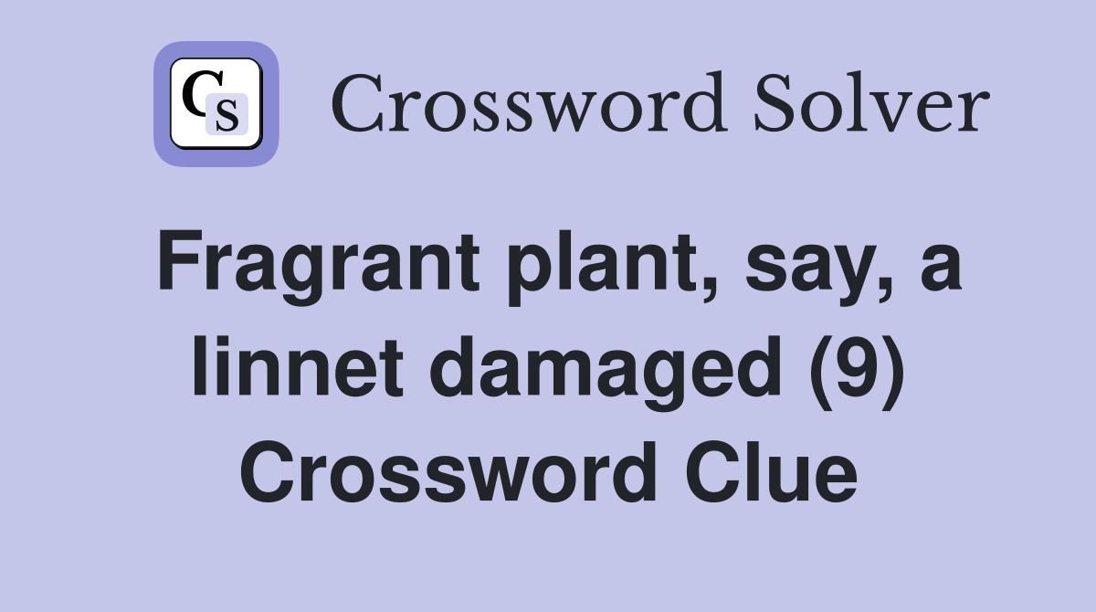 Fragrant plant, say, a linnet damaged (9) Crossword Clue