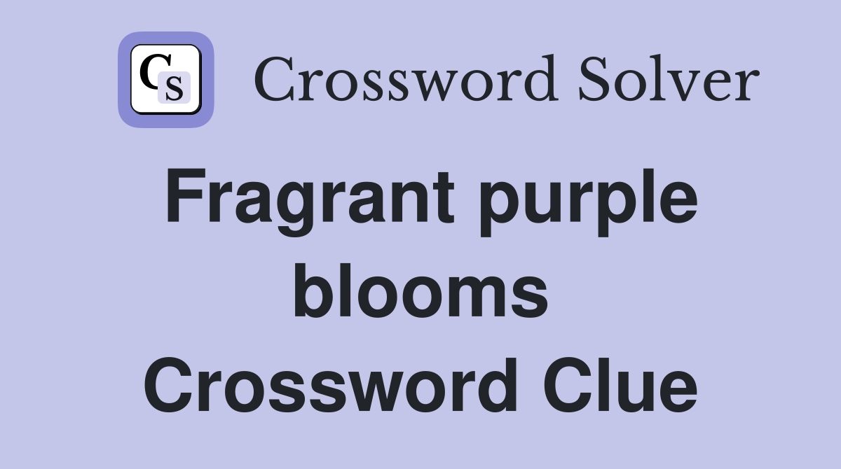 Fragrant purple blooms Crossword Clue