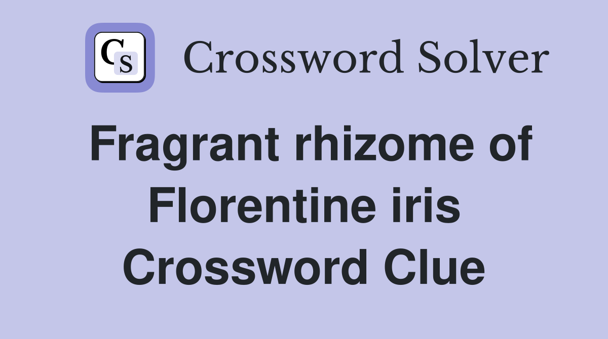 Fragrant rhizome of Florentine iris Crossword Clue