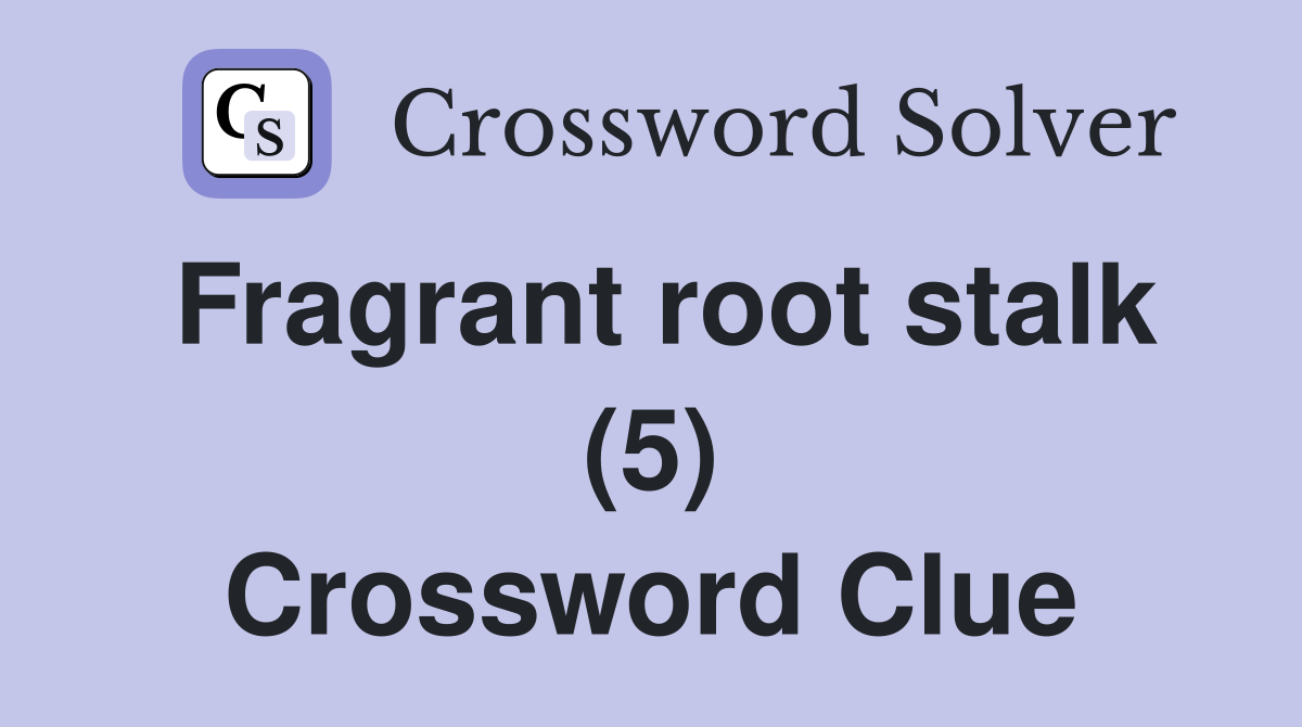 Fragrant root stalk (5) Crossword Clue